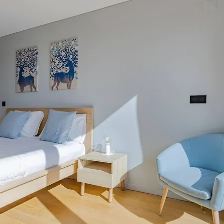 Joao Crisostomo 14 Ii