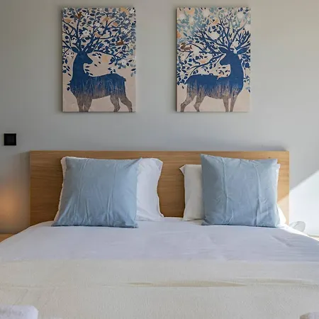 Joao Crisostomo 14 Ii Διαμέρισμα